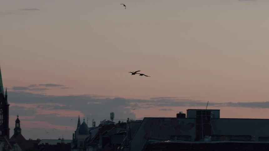 Silhouetted birds gracefully glide in slow motion across a dusky sunset sky over a historic European city