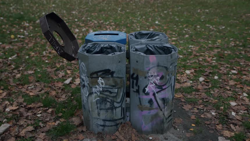Graffiti-covered trash cans sit in a park surrounded by fallen autumn leaves