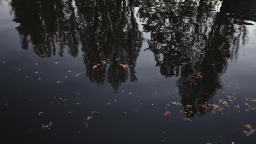 Distorted reflections of autumn trees ripple in dark water with floating leaves