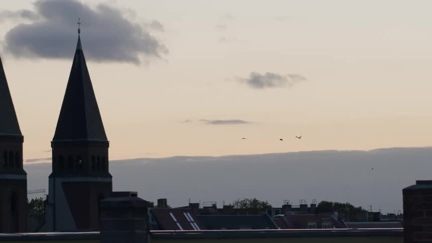 Birds fly in slow motion across a silhouetted cityscape with rooftops and church spires at dusk