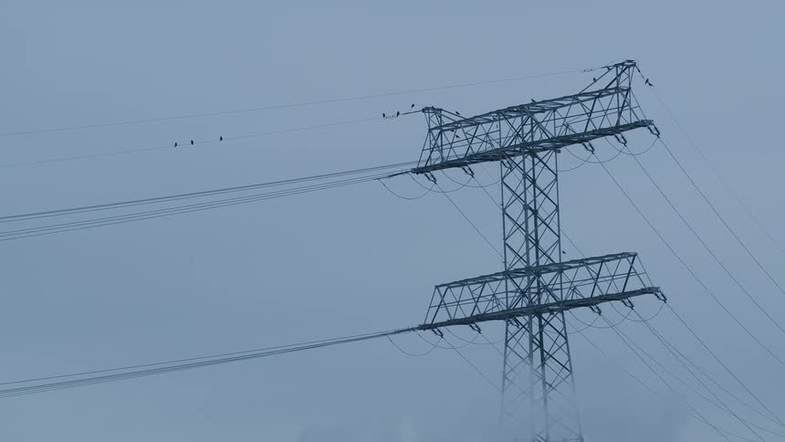 An industrial power pylon stands against a bleak, overcast sky with birds resting on the wires as smoke billows up from below