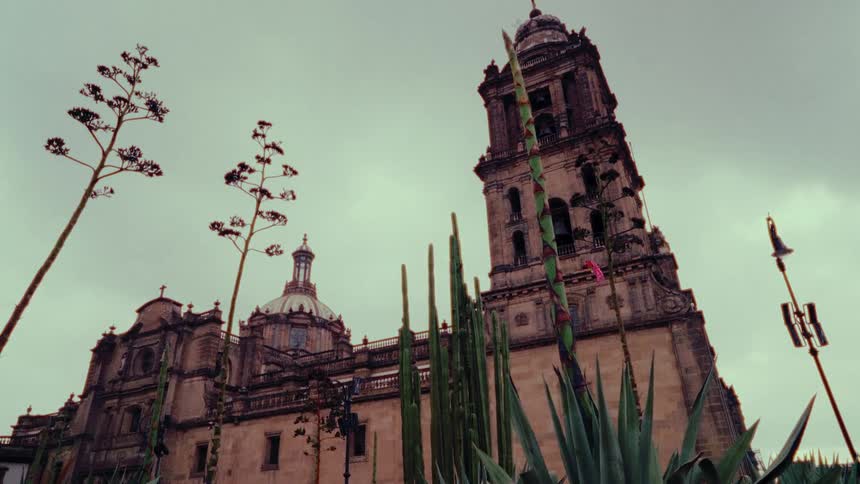 A slow tilt up reveals the grand Mexico City Metropolitan Cathedral with agave plants in the foreground under an overcast sky