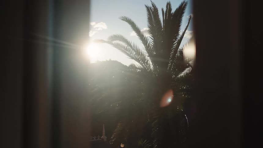 A cinematic time-lapse shows the sun rising from behind a silhouetted palm tree, creating a beautiful lens flare