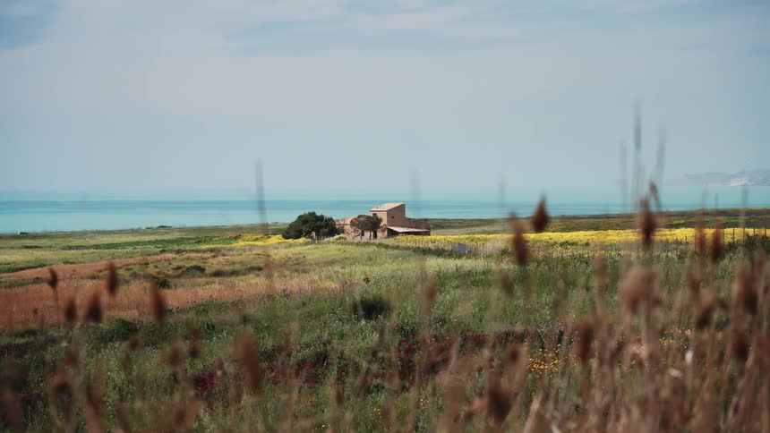 A serene coastal landscape features a lone farmhouse in a field of vibrant wildflowers overlooking the tranquil turquoise sea