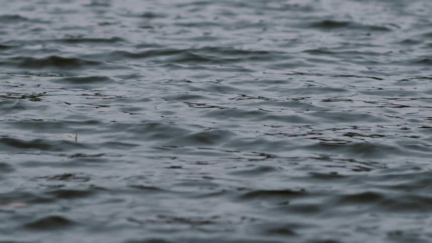 Dark water ripples in slow motion as a single leaf floats by
