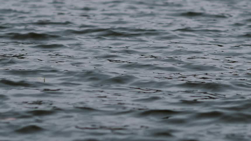 A close-up view of gentle ripples moving slowly across the surface of a dark body of water
