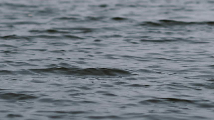 Gentle waves ripple across the surface of dark, calm water in slow motion