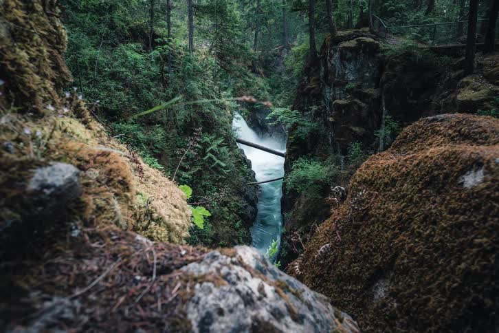 A slow reveal shot pushes past mossy rocks to unveil a powerful turquoise river and waterfall in a dense forest canyon