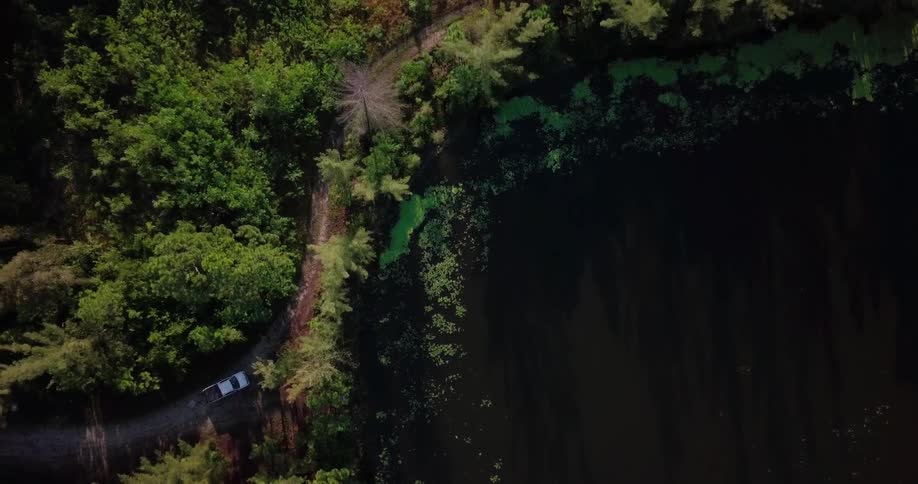 A trail in the woods has a truck parked