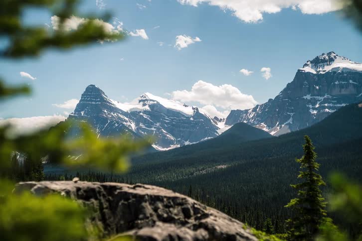 A scenic timelapse reveals a majestic snow-capped mountain range and a vast pine forest on a beautiful sunny day
