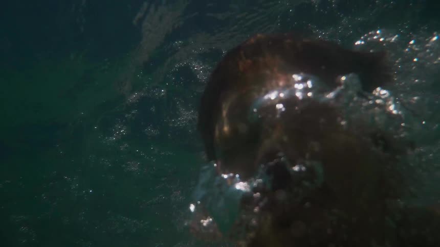 A man rises slowly in the water blowing bubbles