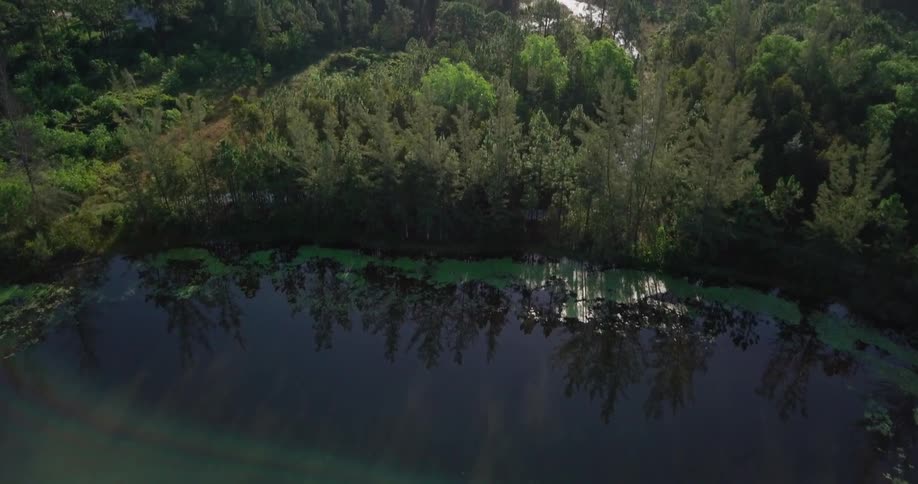 A calm lake is surrounded by trees
