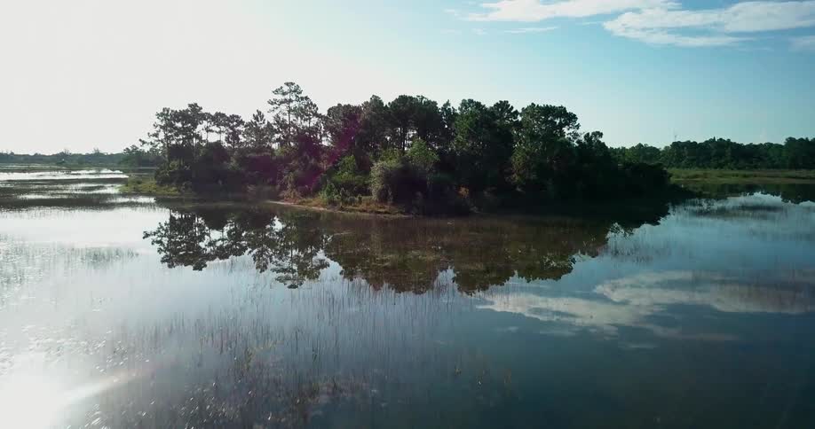 The very calm water leads to an island full of trees
