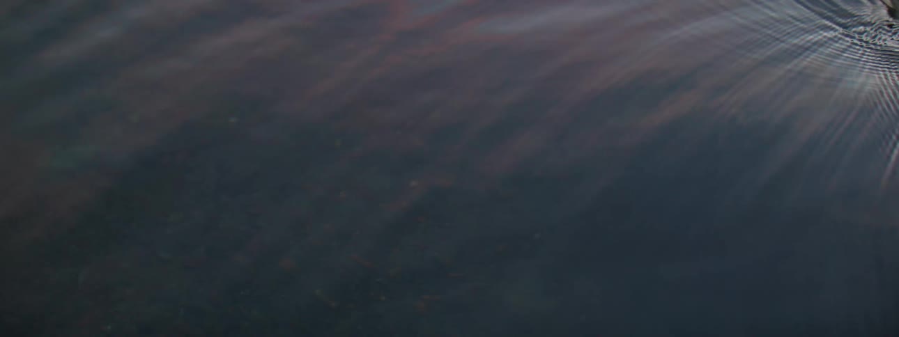 Calm, dark water ripples slowly with a subtle reflection of light on the surface