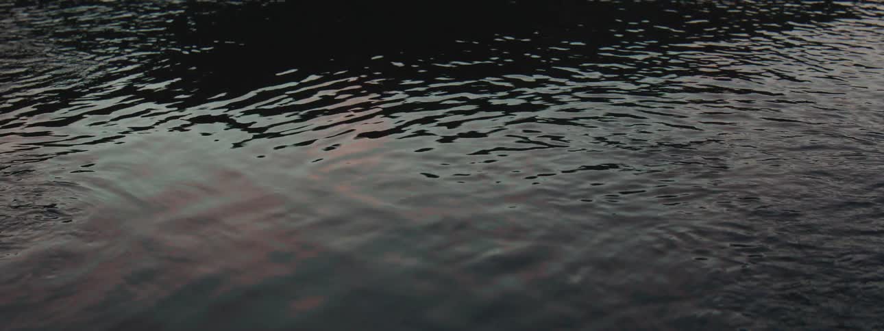 Peaceful ripples move across the dark surface of the water, reflecting the subtle colors of a moody sky