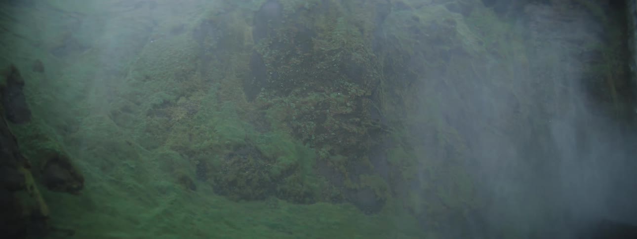 Thick fog drifts over a lush, green mossy rock formation on the side of a cliff