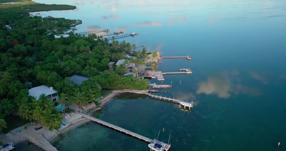 Different docks and piers are around this shoreline