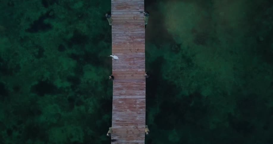 The wooden boardwalk goes out into the green water