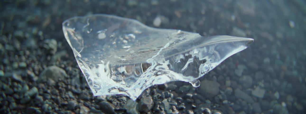 A delicate piece of ice slowly melts into water droplets on a bed of dark, wet rocks