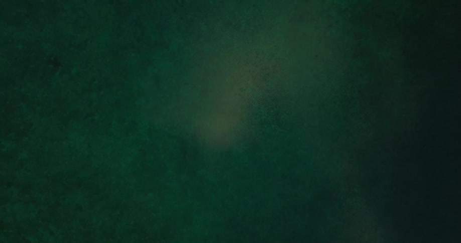 Zooming back away from a splotchy green area with a light colored center