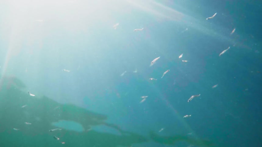 The sun shines brightly under the water