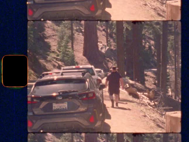 A group of hikers walking past a row of parked cars in a sunny forest, on Super 8 film