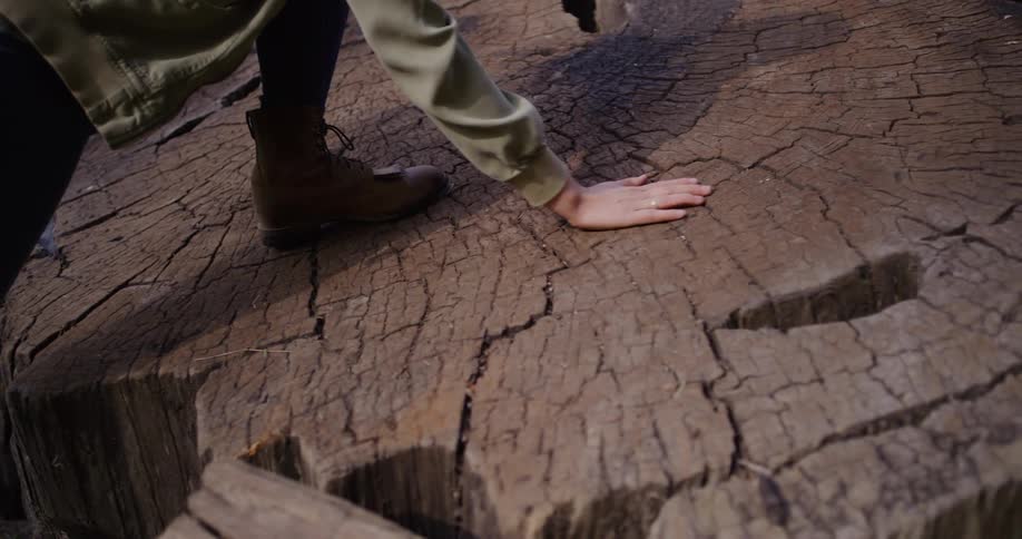 A woman in boots steps onto a massive, weathered tree stump in the forest and touches its cracked surface in slow motion