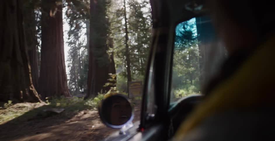 The reflection of a woman's awestruck face in a car's side mirror as she drives through a sunlit forest of giant sequoia trees