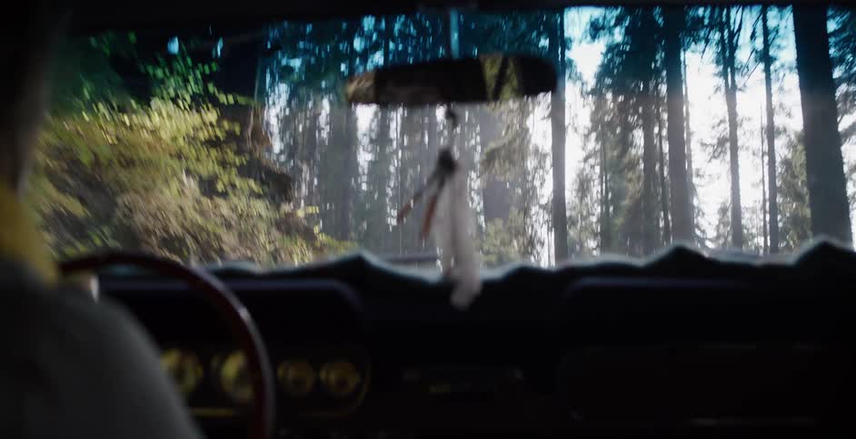 A view from inside a vintage car driving through a sun-drenched forest on a scenic road trip
