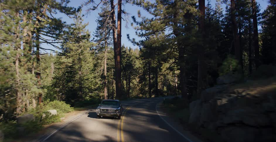 A classic dark muscle car drives down a winding road through a sunlit mountain pine forest