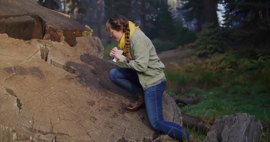 Slow motion side view of a woman with a camera carefully climbing over a massive tree stump while exploring a lush forest