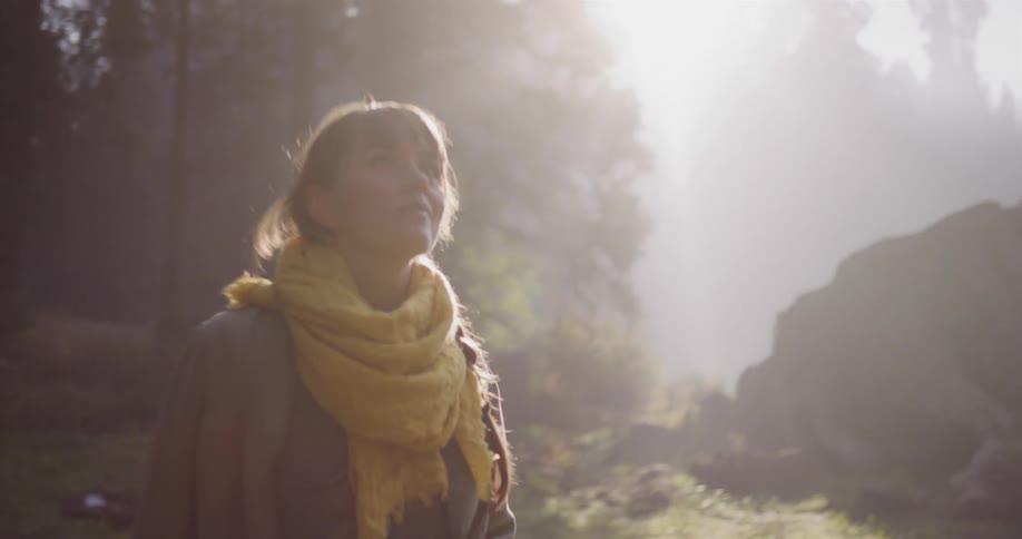 A woman holding a vintage camera walks through a misty, sun-drenched forest in slow motion, looking up in awe