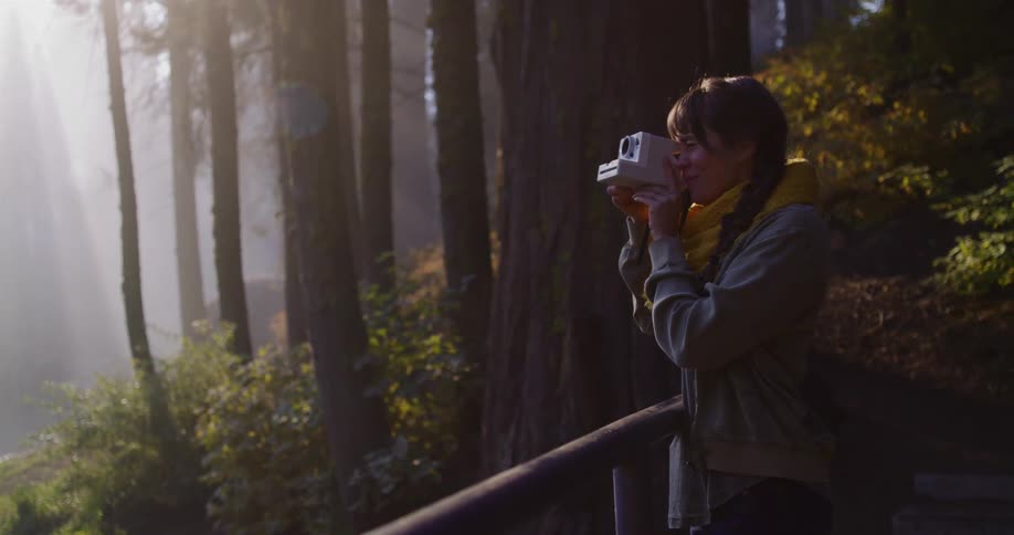 A woman takes a photo with a classic instant camera in a beautiful, sunlit redwood forest