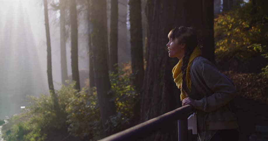 A woman gazes in wonder at a misty, sunlit forest, her breath visible in the crisp morning air