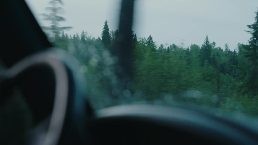 View from a car window of a dense, green forest passing by on a rainy and overcast day