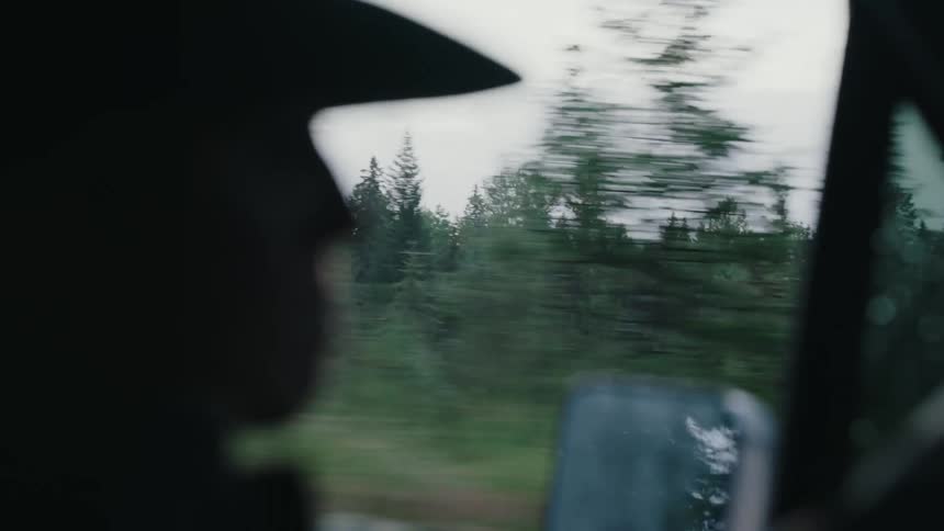 A moody point-of-view shot from a moving car captures the blurry green forest landscape passing by on an overcast day