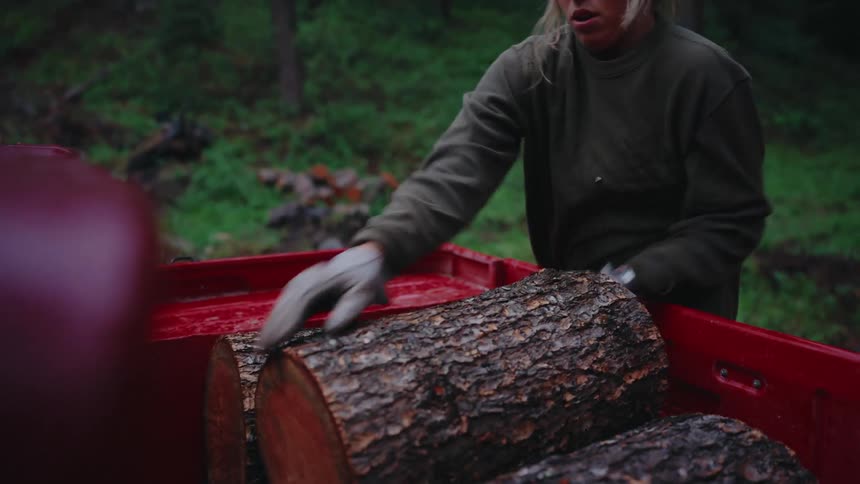 A strong woman wearing a beanie and work gloves carefully loads a heavy log into the bed of a red truck in a dense forest