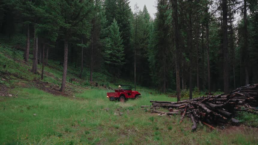 A vintage red jeep drives slowly on a grassy trail into a dense, dark evergreen forest