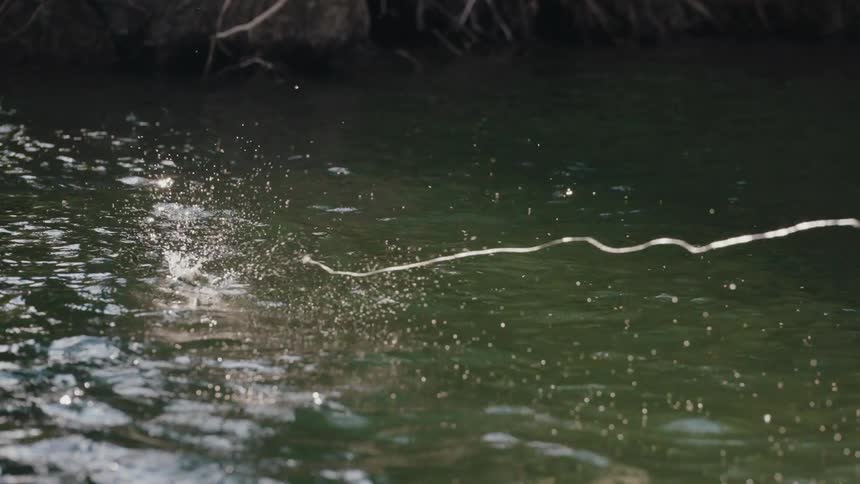 A fishing line whips out of the water, sending sparkling droplets flying in slow motion