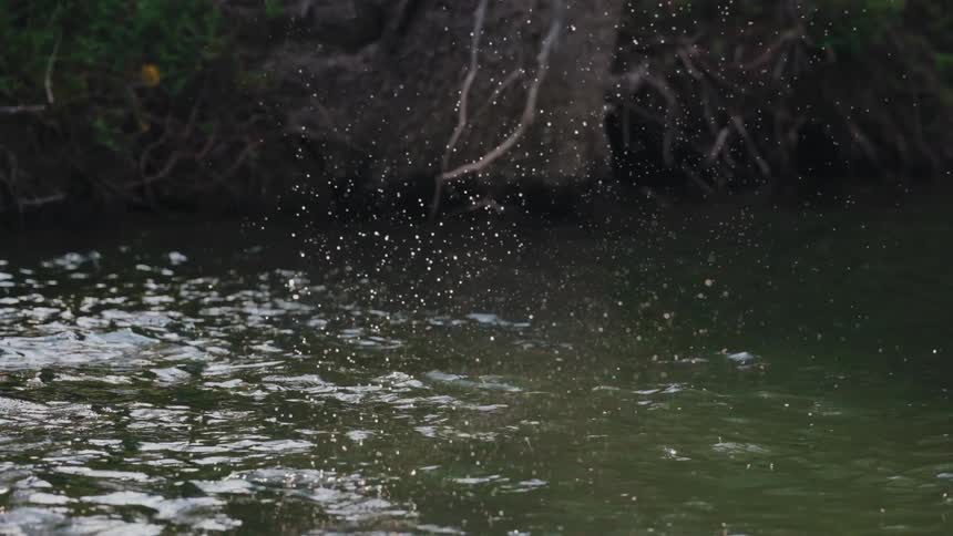 A fly fishing line gracefully hits the surface of a river, creating a beautiful splash of water droplets in slow motion