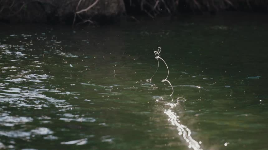 Slow motion close up of a fly fishing line unfurling and landing on the surface of a calm river