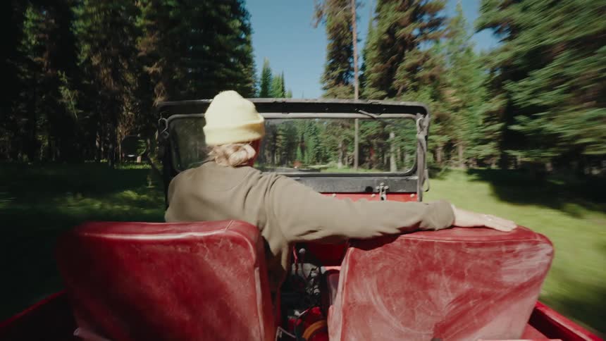 Back view of a man enjoying a ride in a red off-road car while driving through a beautiful pine forest on a sunny day