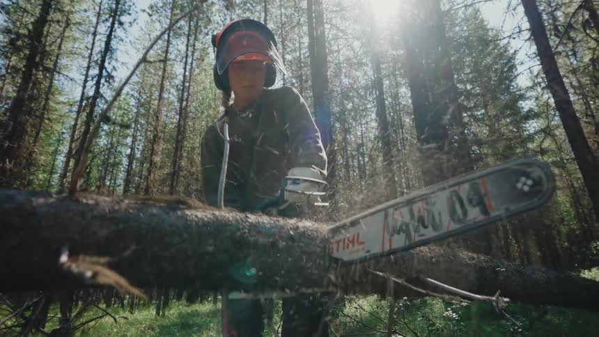 A determined woman in full safety gear saws through a fallen log with a chainsaw in a beautiful, sunlit forest