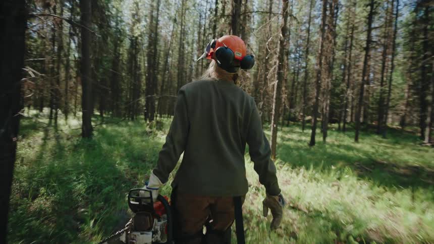 A female forester wearing safety gear carries a chainsaw while walking through a sunlit forest