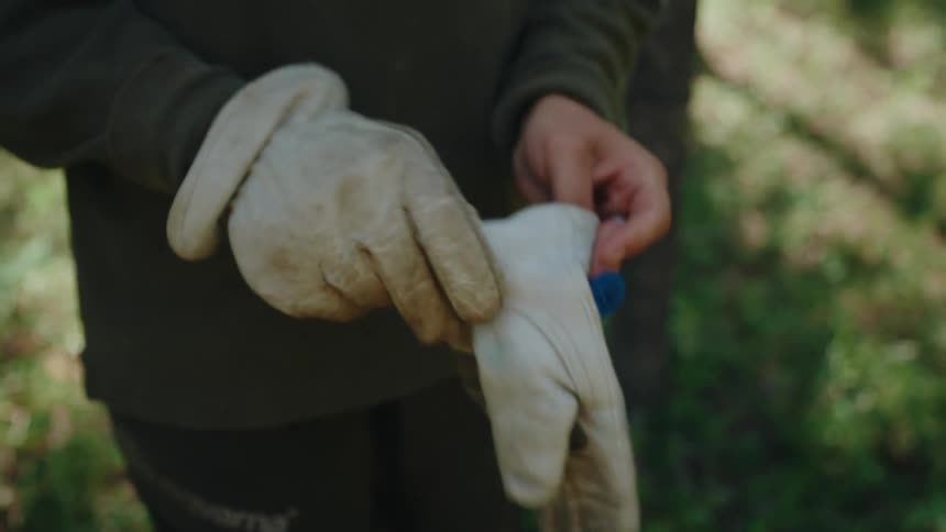 Close up of a person putting on a pair of work gloves in a forest