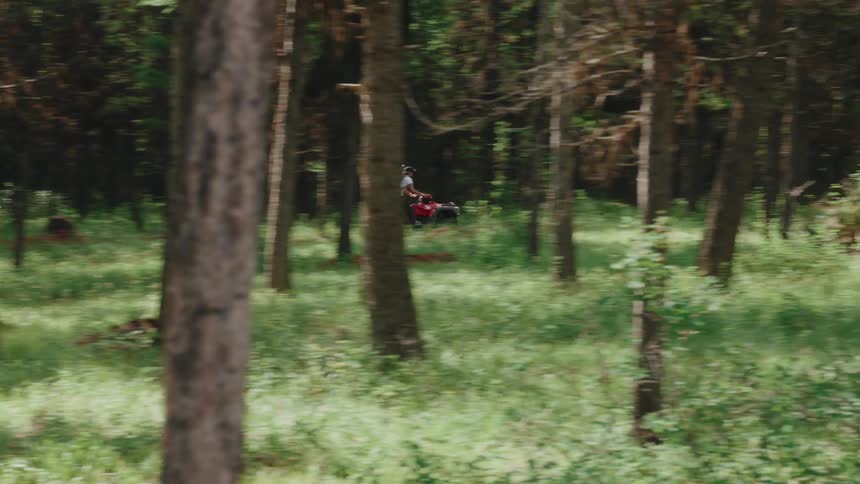An adventurous person drives an ATV through a beautiful green forest with their dog running alongside