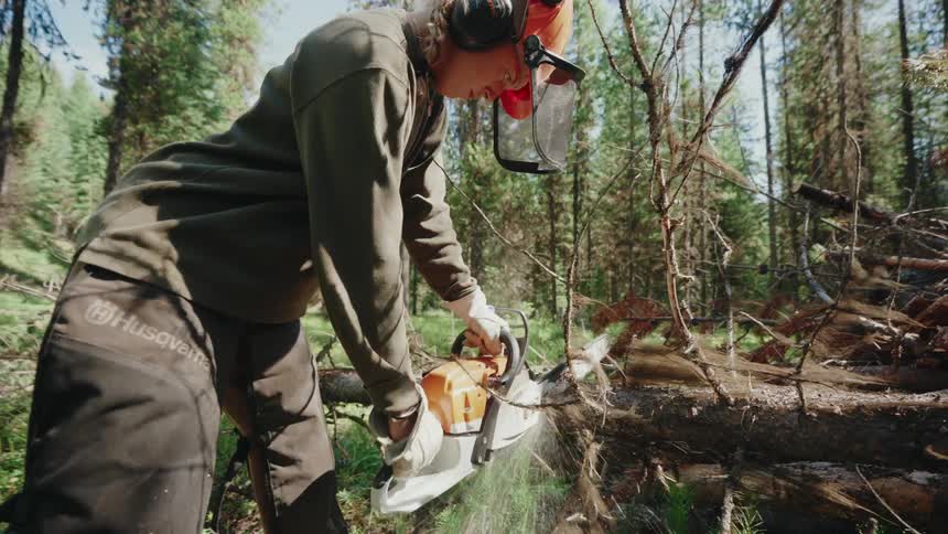A female logger in full safety gear saws through a fallen log with a chainsaw in a sunlit forest in slow motion