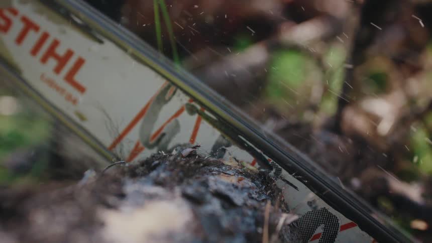 An extreme close-up shot in slow motion of a chainsaw blade cutting through a log, sending wood chips and sawdust flying