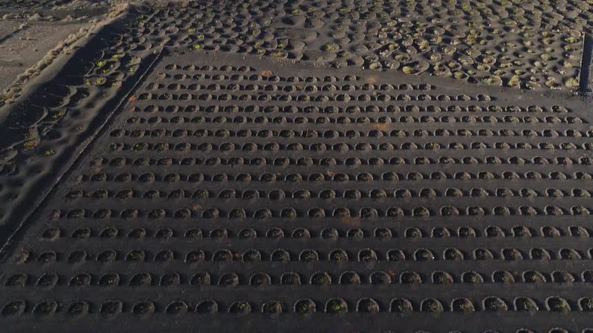 An aerial shot pulls back from a top-down view to reveal unique vineyards with grapevines planted in volcanic ash pits