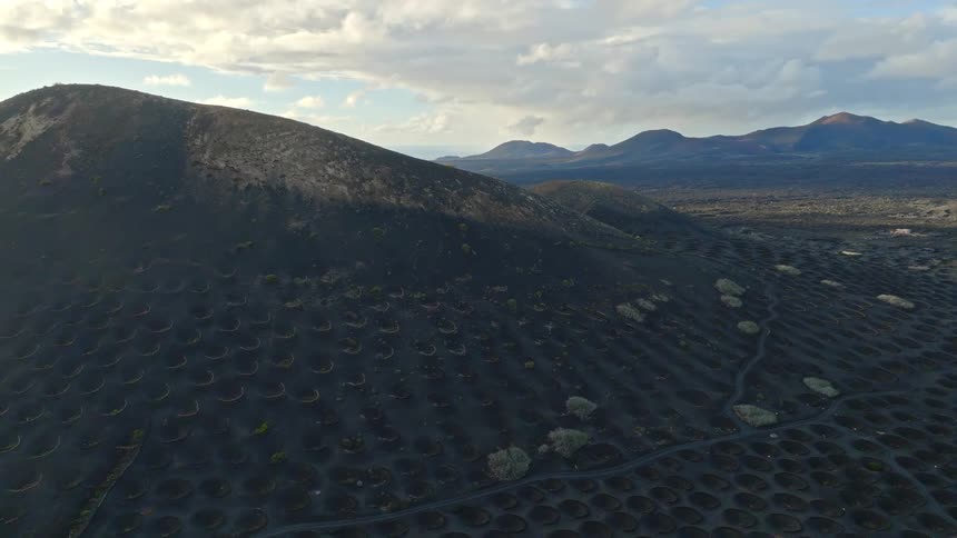 Aerial view of the unique volcanic vineyards of La Geria, a stunning landscape on the island of Lanzarote, Canary Islands
